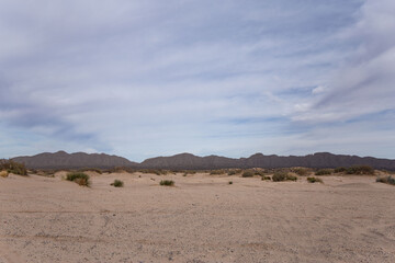 Fototapeta na wymiar desierto