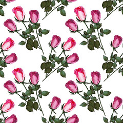 Floral seamless pattern made of roses. Acrilic painting with pink flower buds on white background. Botanical illustration for fabric and textile, packaging, wallpaper, card