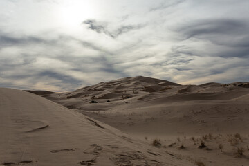 Fototapeta na wymiar dunas