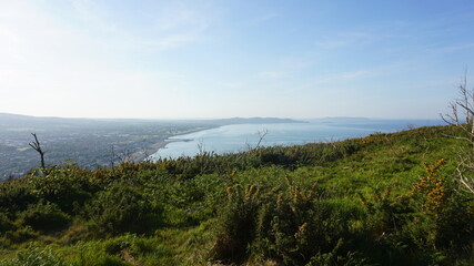  mist in the mountains