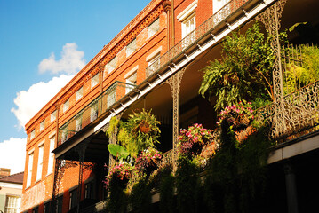 Hanging plants adorn a balcony in the French Quarter in New Orleans