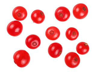 red currant berries isolated on white background top view