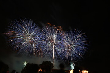 境ふるさと祭り利根川花火大会