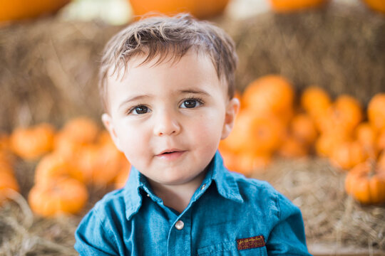 pumpkin patch october halloween happy boy in southern farms in clermont in central Florida in orlando fl