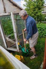 an elderly male gardener stirring plant fertilizer in a watering can with