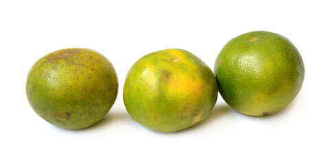 Ripe mandarin citrus isolated tangerine mandarine orange on white background. 