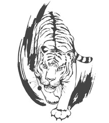 Aggressive attacking tiger on the hunt. Black contour with brush strokes isolated on white background.