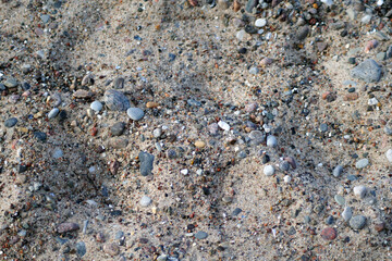 Nahaufnahme eines steinigen Strandabschnitts in Warnemünde