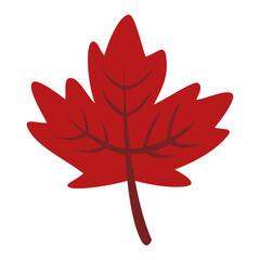 Red maple leaf icon