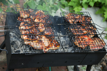 Chicken kebabs cooked on a picnic outside