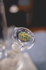 Relaxing cannabis experience: closeup of transparent glass marijuana water bong with lush green pot