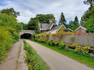 country road in the village