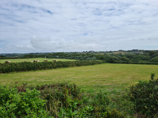 Torteval Feilds, Guernsey Channel Islands