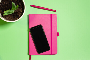 Flat lay with pink notebook and pen with aloe plant on a green pastel background, concept of work