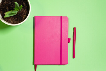 Flat lay with pink notebook and pen with aloe plant on a green pastel background