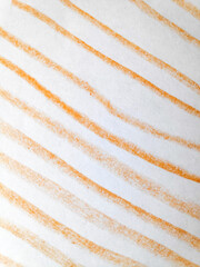 Distress Line Pattern. Line Highlight Underline