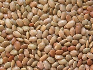 Brown color Horse gram kulthi beans