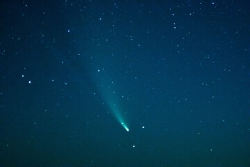 Neowise Comet