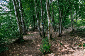 Obraz premium Foret au lac des Vieilles Forges