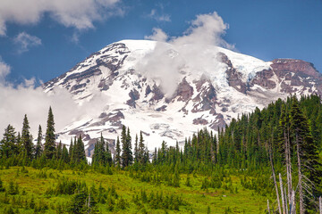 Mt Ranier with a meadow and forest forground viewed from a trail just above Parasise Lodge, Ranier National Park, Washington