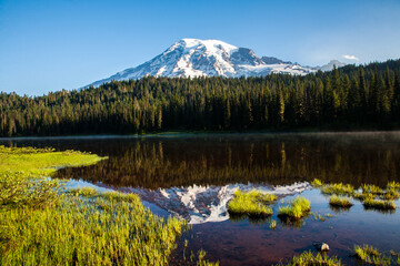 Mt RAnier reflected in Reflection Lakes, RAnier National Park, Washington.