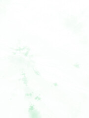 Obraz premium Plant Splash Dyed Pattern. Seamless Water Color
