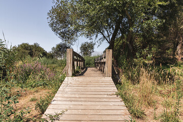 Obraz premium A bridge made of wood in the middle of the forest, Setubal, Portugal