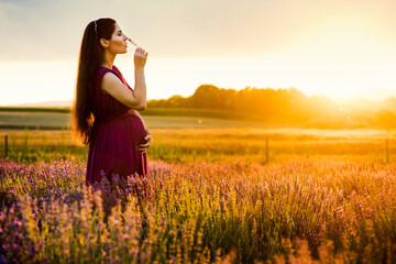 Beautiful pregnant woman dressed in a purple dress poses in a lavender field smells a lavender branch at sunset. Pregnancy and motherhood concept.