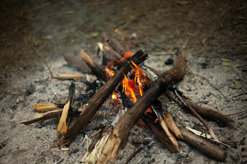 Bonfire in the forest. Fire in nature.