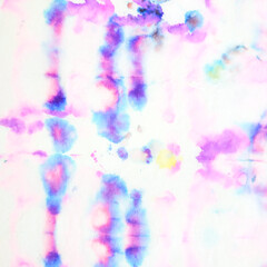 Paintbrush Ethnic Decoration. Indian Ikat. Ethnic