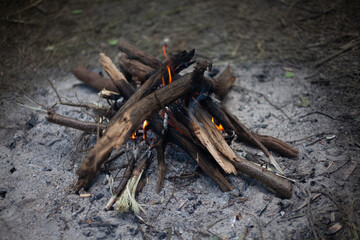 Bonfire in the forest. Fire in nature.