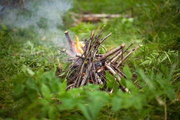 Bonfire in the forest. Fire in nature.