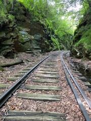 Obraz premium Railroad journey through the rocks