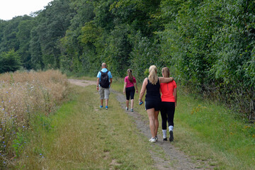 wanderer am waldrand