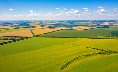 field geometry, top view of multi-colored fields as if drawn on a ruler