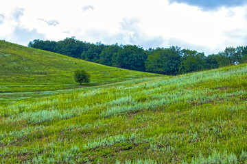Fototapeta na wymiar green field hills landscape panorama