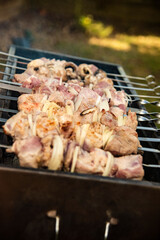 Raw kebab with vegetables. Russian shashlik.
