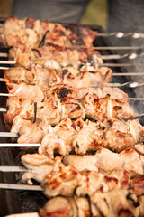 Raw kebab with vegetables. Russian shashlik.