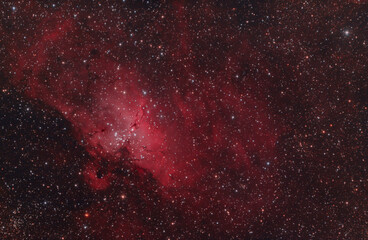 Nebulosa M16 o Nebulosa Aquila nella costellazione del Serpente
