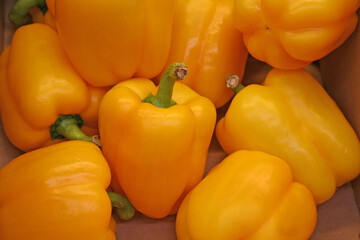 Pepper Paprika Bachground 