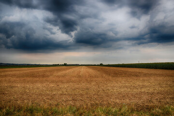 Fototapeta premium Pianura Padana (AL)