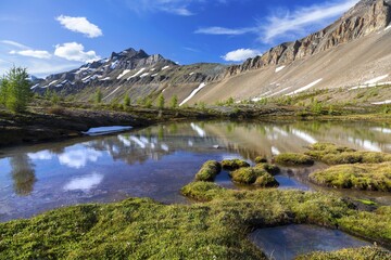 Fototapeta na wymiar Beautiful Alpine Lake in green Meadow and Summertime Canadian Rocky Mountain Landscape in Banff National Park, Alberta
