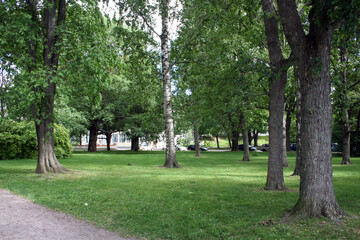 Obraz premium Walking in a Park in Helsinki, Finland