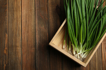 Fresh green spring onions in crate on wooden table, top view. Space for text