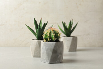 Artificial plants in cement flower pots on table against light background