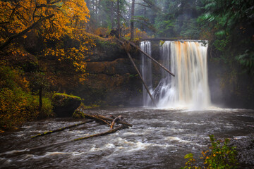 Fototapeta na wymiar Roaring Lower North Falls, Silver Falls State Park, Oregon