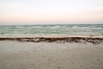 Long exposure shot of the beach, sargassum seaweed, white sand and blurred sea waves at sunset. Beautiful twilight colors and sunlight reflection in the ocean water.