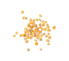 Pile of raw dry corn seeds on white background, top view. Vegetable planting
