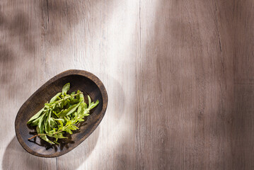 Stevia rebaudiana - Leaves of the stevia plant