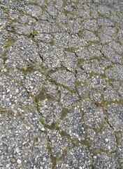 Plants and weeds growing through the cracks on an old asphalt driveway 